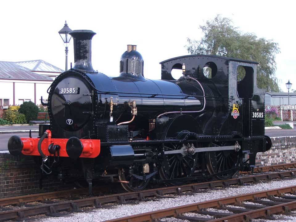 Beattie in Quainton's Down Yard