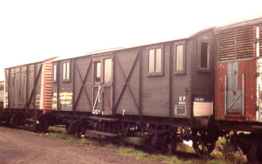 Bloater shortly after delivery - July 1990