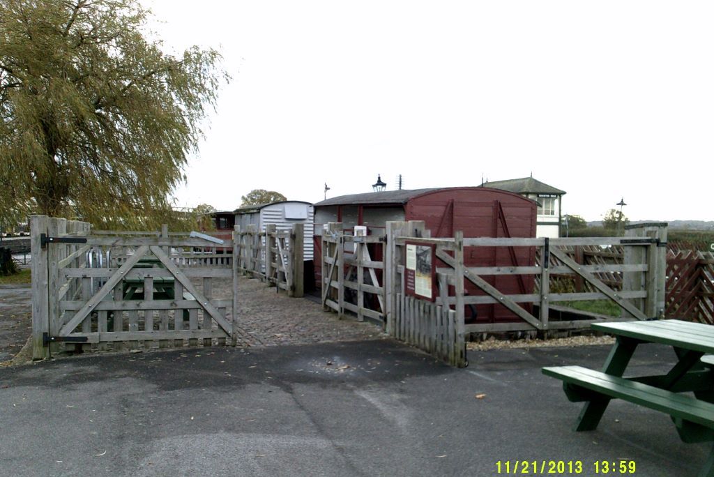 Cattle Dock