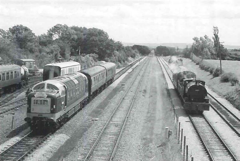 qn_100_12.jpg (74,412 bytes)