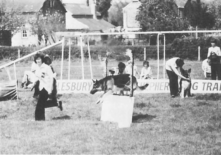 qn_36_03.jpg (73,568 bytes)