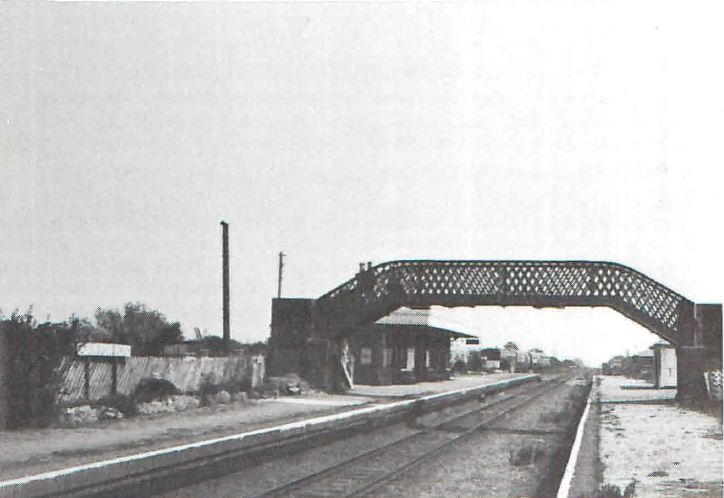 qn_41_01.jpg (45,280 bytes)