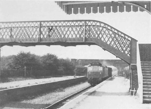 qn_41_02.jpg (31,252 bytes)