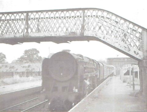 qn_41_09.jpg (26,433 bytes)