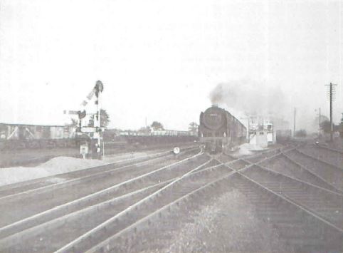 qn_41_10.jpg (20,092 bytes)