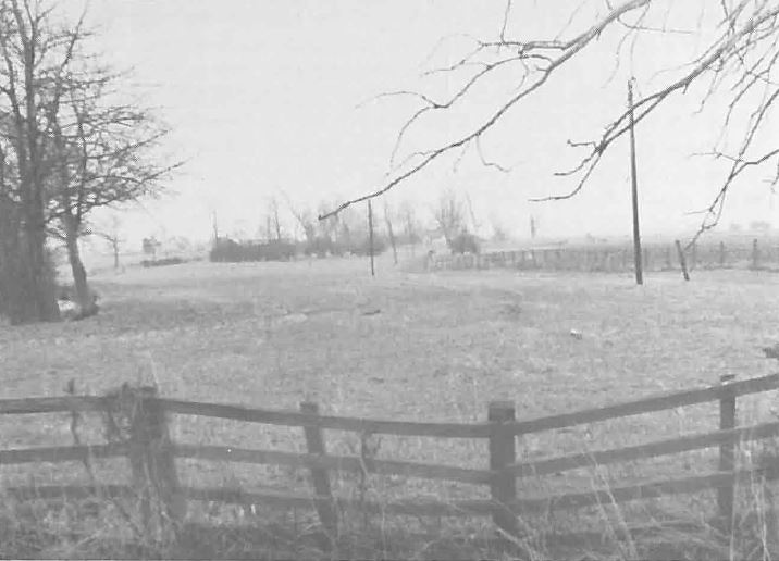 qn_41_15.jpg (49,449 bytes)