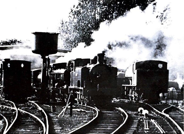 Live Steam, Quainton