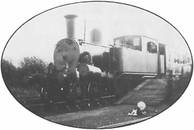 qn_64_19.jpg  (31,568 bytes)