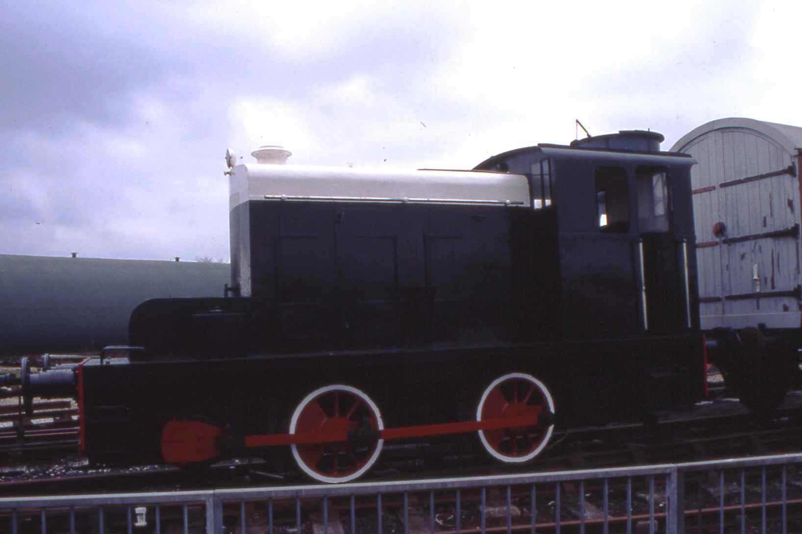 Walrus</I> in the Down Yard